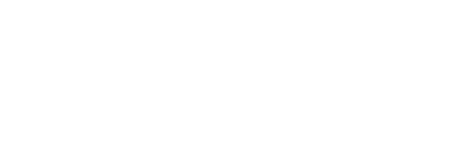 Masi-Logo-Kurven-mit slogan_weiß
