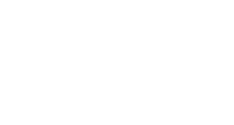 fokus